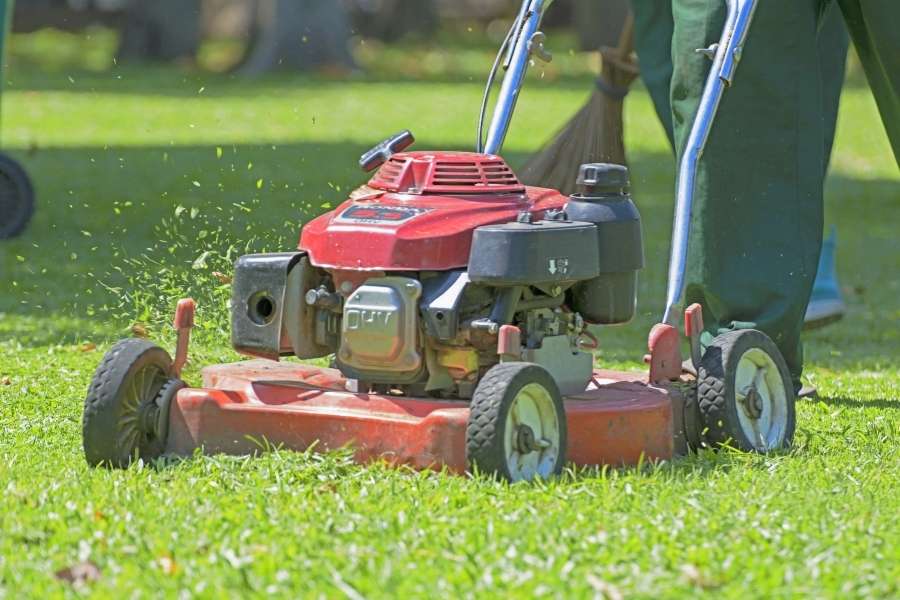 Tondeuse à gazon en train de couper l’herbe dans un jardin, tondeuse à gazon performante